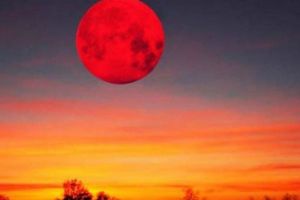 Fenomen ASTRONOMIC extrem de RAR. LUNA ALBASTRĂ: Eclipsă totală, PRIMA DATĂ după 150 de ANI