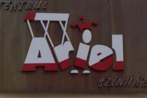 Programul lunii ianuarie a Teatrului Ariel