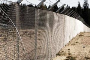 Au furat 1.175 de kg de sârmă, dintr-o plantaţie de viţă de vie ce aparţine unei firme din Blaj. Patru bărbaţi, prinşi în flagrant în timp ce încercau să o valorifice