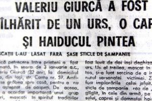 Un ieşean a fost păcălit de o capră, bătut de un urs şi jecmănit de haiducul Pintea