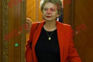 Ministrul Apelor a demisionat pe caz de boală