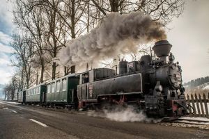 De Bobotează, încasările Mocăniţei din Moldoviţa vor ajunge la o tânără aflată în ...