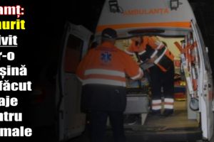 Neamţ: A murit strivit într-o maşină de făcut furaje pentru animale