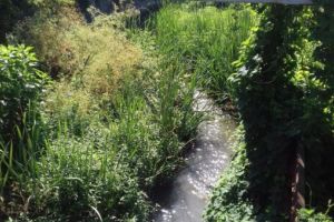 Scrisoarea cititorului: „Interesează pe cineva cum arată albia pârâului Dâmbu?”