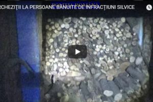 Perchezitii in Prahova, la persoane suspecte de furturi silvice