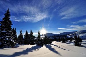 Starea pârtiilor de la Alba, foarte bună în ciuda încălzirii vremii. La Șureanu a nins recent, iar la Arieşeni condiţiile de schi rămân satisfăcătoare