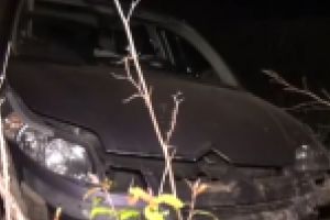 Un sofer beat a facut praf gardul unei case