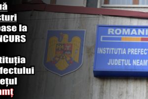 Două posturi scoase la CONCURS de Instituţia Prefectului Judeţul Neamţ
