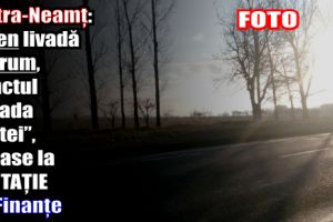 Piatra-Neamţ: Teren livadă şi drum, punctul „Livada Ciritei”, scoase la LICITAȚIE de Finanţe