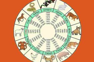 ZODIAC CHINEZESC – ANUL CÂINELUI DE PĂMÂNT