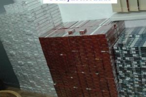 Un munte de ţigări de contrabandă, capturat de poliţişti