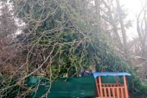 Timişoara s-ar putea dota cu senzori de vânt
