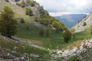 Cum devii montaniard cu telefonul în mână. Aplicaţie gratuită I FOTO