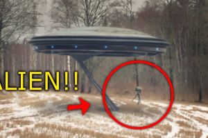 Șaorma la «farfurie zburătoare»