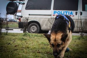 Și-a ameninţat familia că se sinucide! Căutat de poliţişti şi jandarmi