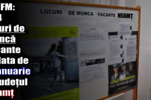 AJOFM: 334 locuri de muncă vacante la data de 5 ianuarie 2017 în judeţul Neamţ