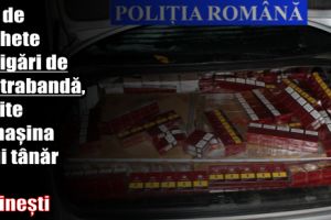 881 pachete de ţigări de contrabandă, găsite în maşina unui tânăr din Săvineşti