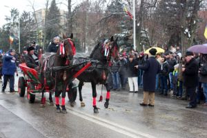 Șoc!  POLIŢIA NU A AVIZAT BOTEZUL CAILOR!