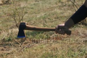 Bărbatul care a ameninţat doi poliţişti cu toporul, trimis în judecată