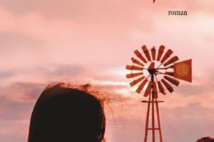 J.M. Coetzee: „În inima ţării”