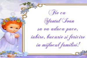 Fie ca Sfantul Ioan sa va aduca pace, iubire, bucurie si fericire in mijlocul familiei!