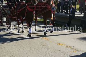 Traditia continua in comuna Mihail Kogalniceanu: Botezul cailor, o parada de forta, eleganta si frumusete 