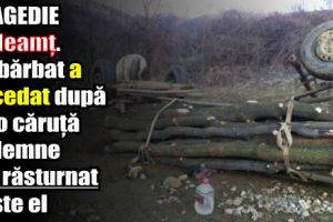 Un bărbat a decedat după ce o căruţă cu lemne s-a răsturnat peste el