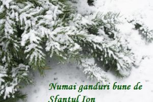 Mesaje de „LA MULŢI ANI” de Sfântul Ioan 2018, pentru Ioana, Ionela, Ion şi Ioan