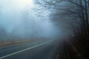 Cod galben de ceaţă densă în opt judeţe