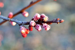 Vreme neobişnuit de caldă în toată ţara. Cum vor evolua temperaturile în perioada următoare