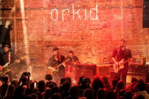 Trupa Orkid revine la Timisoara