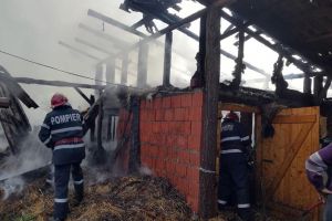 Incendiu în Albiş: 9 purcei au ars de vii, după ce flăcările au cuprins un adăpost de animale (FOTO)