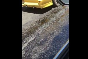 În Australia se topesc drumurile de arşiţă, în nord-estul SUA e ger ca la Polul Nord