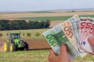 Până la 1.500 de euro anual pentru micii fermieri. Cererile se depun de mâine!