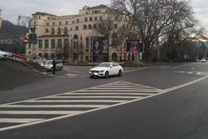 Cadou de la poliţiştii locali pentru un bizon din Bucureşti