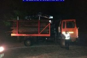 CLUJ: Hoţi de lemne, prinşi la furat în miez de noapte. Poliţiştii au tras cu arma pentru a-l opri pe unul dintre ei FOTO