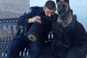 Ciudăţeniile care au uimit lumea. De la primele click-uri se conving toţi. Galerie foto