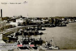 #citesteDobrogea: Civilizatia care ar fi putut inflori la gura marelui fluviu Dunarea. Lucrari din Biblioteca Virtuala ZIUA de Constanta