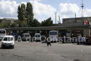 Care sunt operatorii de transport public judetean de persoane si cum le poate retrage Consiliul Judetean Constanta licenta (document)