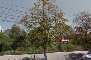 S-au finalizat cadastrul si intabularea: Consiliul Judetean organizeaza licitatie pentru proiectul noului sediu al Serviciului de Medicina Legala Constanta