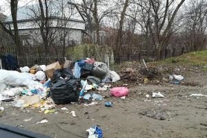 Moineşti, Dărmăneşti şi Secuieni cer să se declare „starea de alertă”