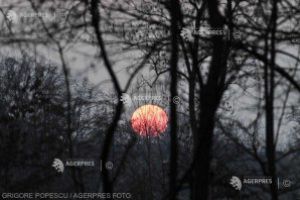 Agrometeo:Temperaturile ridicate din această perioadă vor imprima ritmuri normale în procesele vegetative ale plantelor