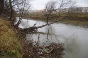 Un grup de elevi din Sfântu Gheorghe intenţionează să realizeze o hartă a mediului