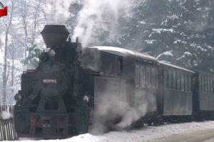 Peste 10.000 de lei încasaţi de Bobotează la Mocăniţă, donaţi de patron unei tinere din ...