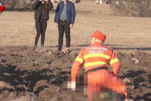 Un copilaş de 2 ani şi 4 luni a murit pe un câmp, după ce a petrecut o noapte în frig