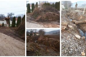 FOTO. Acţiune de curăţenie şi toaletare a arborilor de pe Valea Hăpriei. Apel al Primăriei Ciugud pentru depistarea celor care aruncă gunoiul necontrolat