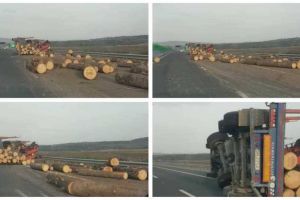 VIDEO: Tir încărcat cu lemne, RĂSTURNAT pe autostrada A1, în zona Sebeş. Prima bandă a sensului de mers Deva – Sebeş, blocată temporar