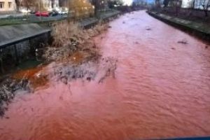 Accident ecologic? Raul Sasar a devenit portocaliu (FOTO)