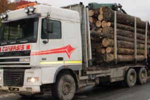 PREMIERĂ în România: IMPORTĂM LEMN. Explicaţiile unei situaţii care a generat nemulţumiri în industria de profil