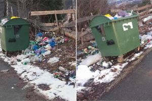 FOTO/ ȘTIREA TA: ”În comuna Scărişoara unele containere de gunoi nu au mai fost golite de 2 ani!”